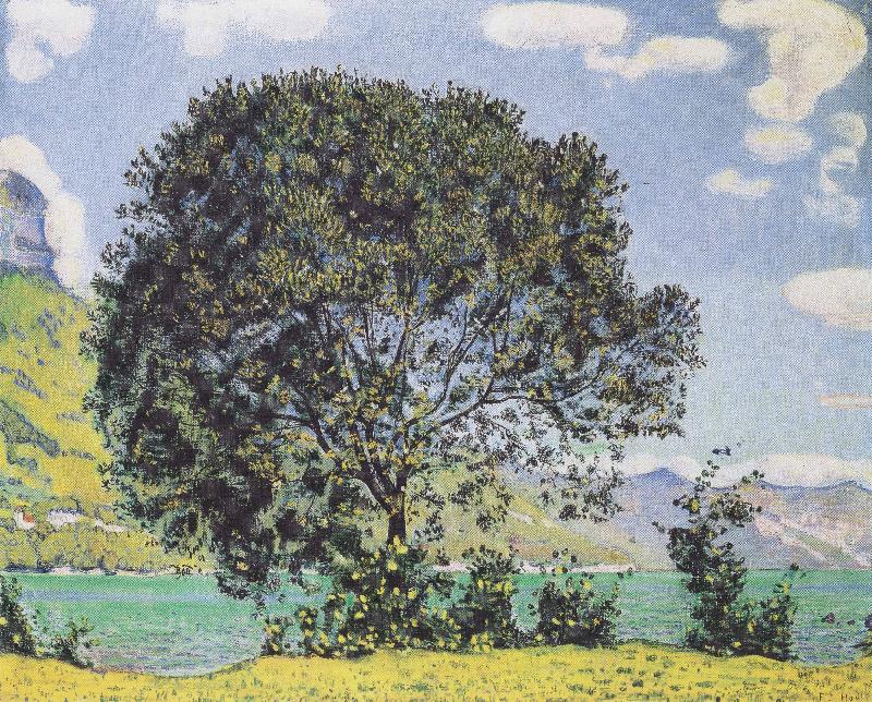 Ferdinand Hodler Baum am Brienzersee vom Bodeli aus oil painting image
